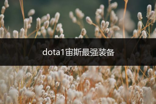 dota1宙斯最强装备