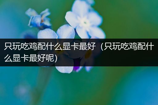 只玩吃鸡配什么显卡最好（只玩吃鸡配什么显卡最好呢）