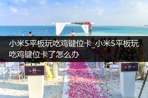 小米5平板玩吃鸡键位卡_小米5平板玩吃鸡键位卡了怎么办
