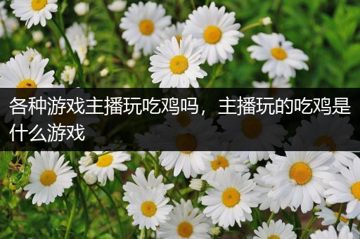各种游戏主播玩吃鸡吗，主播玩的吃鸡是什么游戏