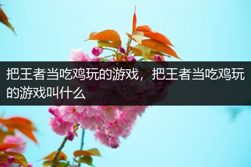 把王者当吃鸡玩的游戏，把王者当吃鸡玩的游戏叫什么