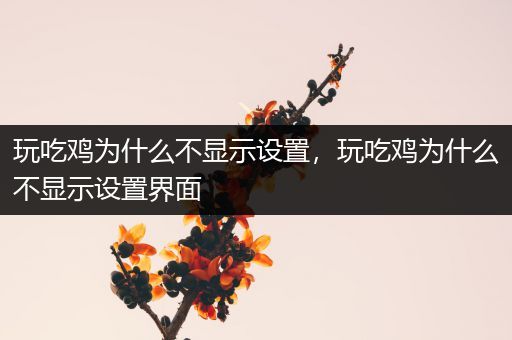 玩吃鸡为什么不显示设置，玩吃鸡为什么不显示设置界面