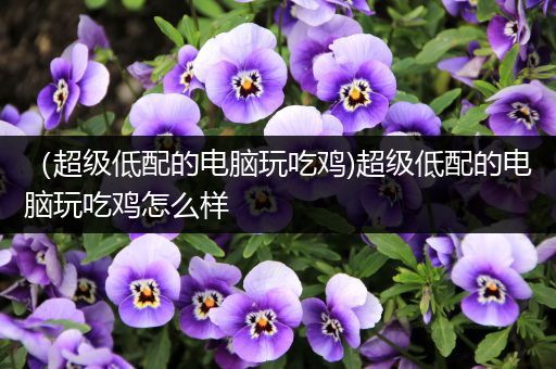 （超级低配的电脑玩吃鸡)超级低配的电脑玩吃鸡怎么样