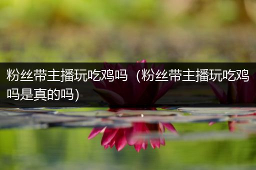 粉丝带主播玩吃鸡吗（粉丝带主播玩吃鸡吗是真的吗）