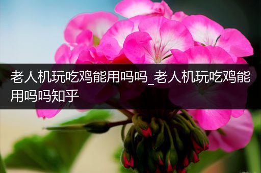 老人机玩吃鸡能用吗吗_老人机玩吃鸡能用吗吗知乎