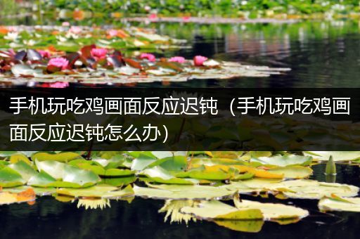 手机玩吃鸡画面反应迟钝（手机玩吃鸡画面反应迟钝怎么办）