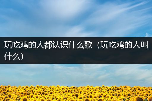 玩吃鸡的人都认识什么歌（玩吃鸡的人叫什么）