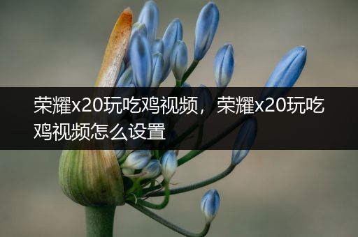 荣耀x20玩吃鸡视频，荣耀x20玩吃鸡视频怎么设置