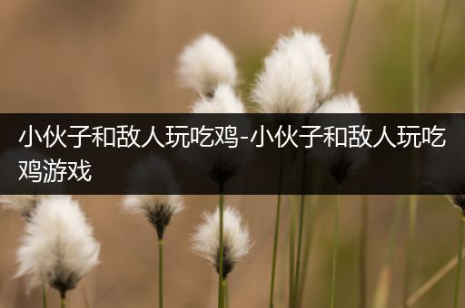 小伙子和敌人玩吃鸡-小伙子和敌人玩吃鸡游戏