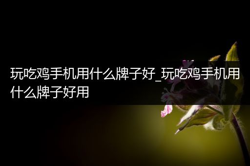 玩吃鸡手机用什么牌子好_玩吃鸡手机用什么牌子好用