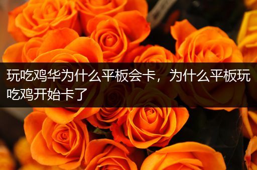 玩吃鸡华为什么平板会卡，为什么平板玩吃鸡开始卡了
