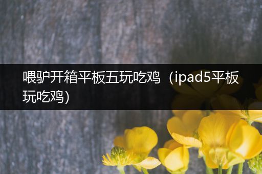 喂驴开箱平板五玩吃鸡（ipad5平板玩吃鸡）