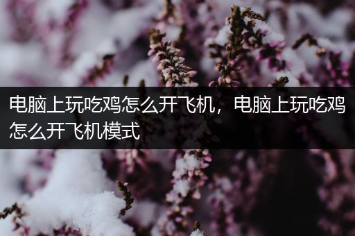 电脑上玩吃鸡怎么开飞机，电脑上玩吃鸡怎么开飞机模式