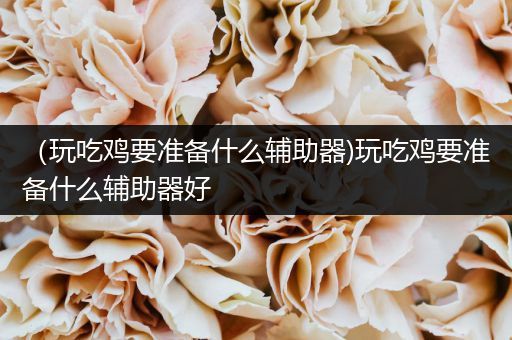 （玩吃鸡要准备什么辅助器)玩吃鸡要准备什么辅助器好