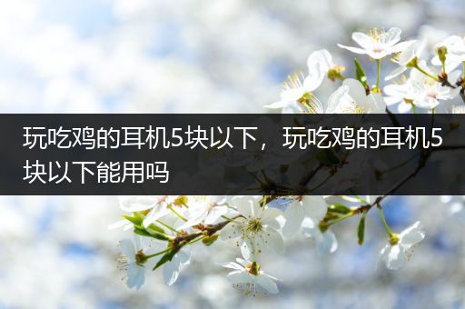 玩吃鸡的耳机5块以下，玩吃鸡的耳机5块以下能用吗