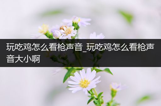 玩吃鸡怎么看枪声音_玩吃鸡怎么看枪声音大小啊