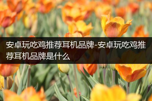 安卓玩吃鸡推荐耳机品牌-安卓玩吃鸡推荐耳机品牌是什么