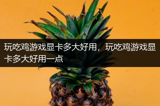 玩吃鸡游戏显卡多大好用，玩吃鸡游戏显卡多大好用一点