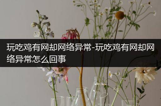 玩吃鸡有网却网络异常-玩吃鸡有网却网络异常怎么回事