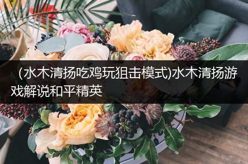（水木清扬吃鸡玩狙击模式)水木清扬游戏解说和平精英
