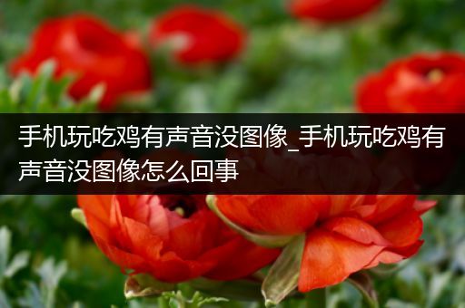 手机玩吃鸡有声音没图像_手机玩吃鸡有声音没图像怎么回事
