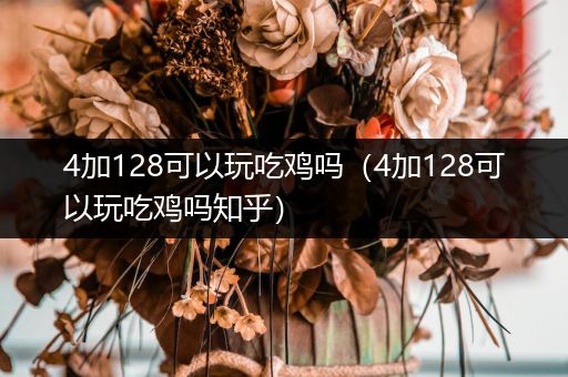 4加128可以玩吃鸡吗（4加128可以玩吃鸡吗知乎）