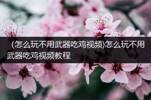 （怎么玩不用武器吃鸡视频)怎么玩不用武器吃鸡视频教程