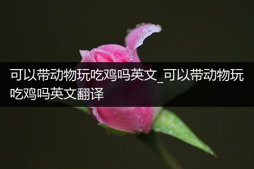 可以带动物玩吃鸡吗英文_可以带动物玩吃鸡吗英文翻译