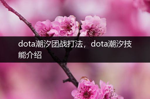dota潮汐团战打法，dota潮汐技能介绍