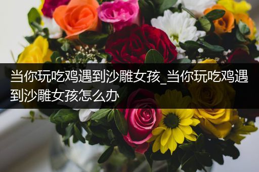 当你玩吃鸡遇到沙雕女孩_当你玩吃鸡遇到沙雕女孩怎么办