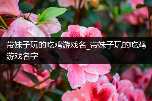 带妹子玩的吃鸡游戏名_带妹子玩的吃鸡游戏名字