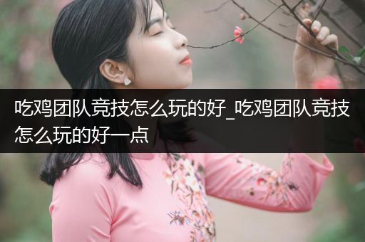 吃鸡团队竞技怎么玩的好_吃鸡团队竞技怎么玩的好一点