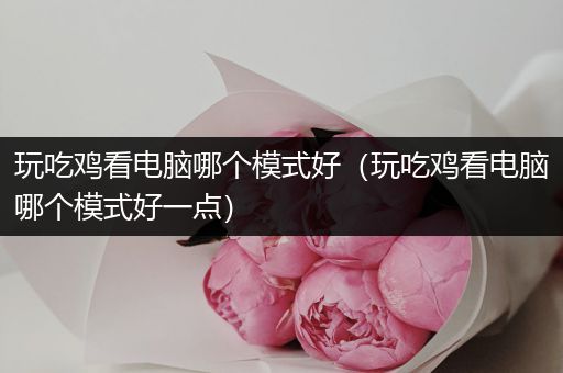 玩吃鸡看电脑哪个模式好（玩吃鸡看电脑哪个模式好一点）