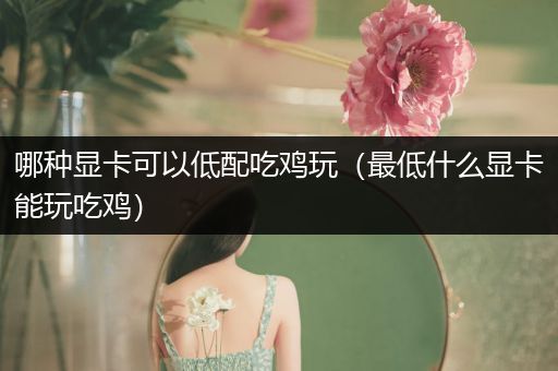 哪种显卡可以低配吃鸡玩（最低什么显卡能玩吃鸡）