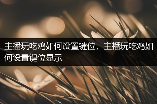 主播玩吃鸡如何设置键位，主播玩吃鸡如何设置键位显示