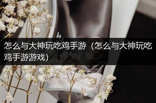 怎么与大神玩吃鸡手游（怎么与大神玩吃鸡手游游戏）