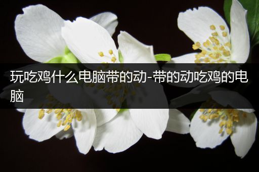玩吃鸡什么电脑带的动-带的动吃鸡的电脑