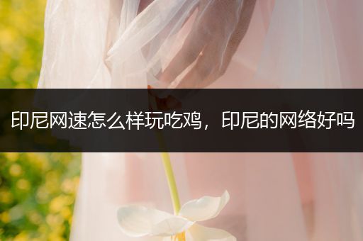 印尼网速怎么样玩吃鸡，印尼的网络好吗