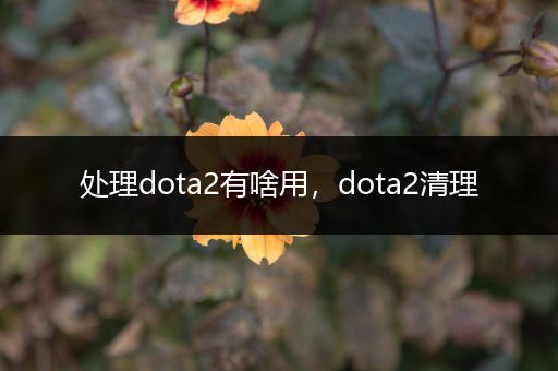 处理dota2有啥用，dota2清理