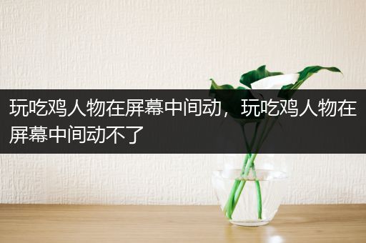 玩吃鸡人物在屏幕中间动，玩吃鸡人物在屏幕中间动不了