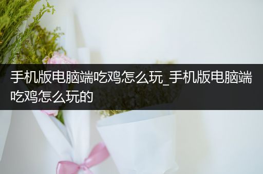 手机版电脑端吃鸡怎么玩_手机版电脑端吃鸡怎么玩的