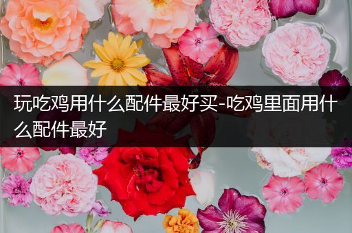 玩吃鸡用什么配件最好买-吃鸡里面用什么配件最好