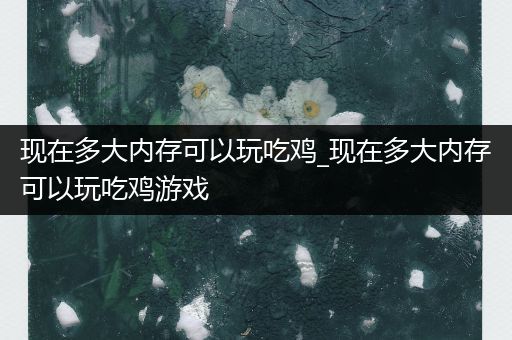 现在多大内存可以玩吃鸡_现在多大内存可以玩吃鸡游戏