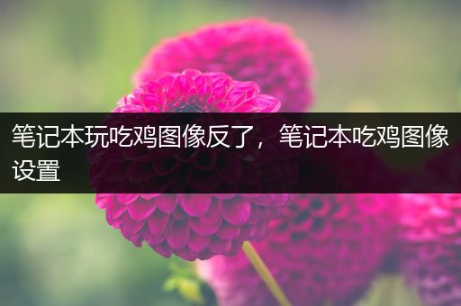 笔记本玩吃鸡图像反了，笔记本吃鸡图像设置
