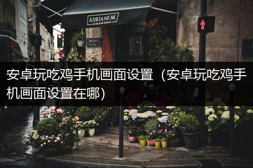 安卓玩吃鸡手机画面设置（安卓玩吃鸡手机画面设置在哪）
