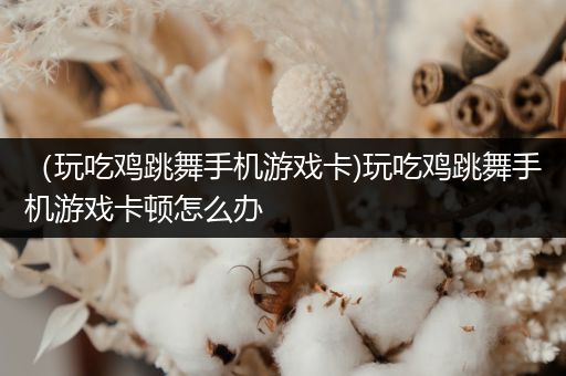 （玩吃鸡跳舞手机游戏卡)玩吃鸡跳舞手机游戏卡顿怎么办