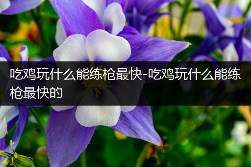 吃鸡玩什么能练枪最快-吃鸡玩什么能练枪最快的