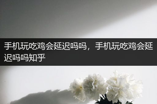 手机玩吃鸡会延迟吗吗，手机玩吃鸡会延迟吗吗知乎