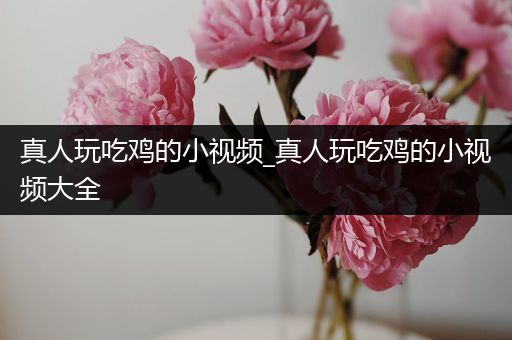 真人玩吃鸡的小视频_真人玩吃鸡的小视频大全