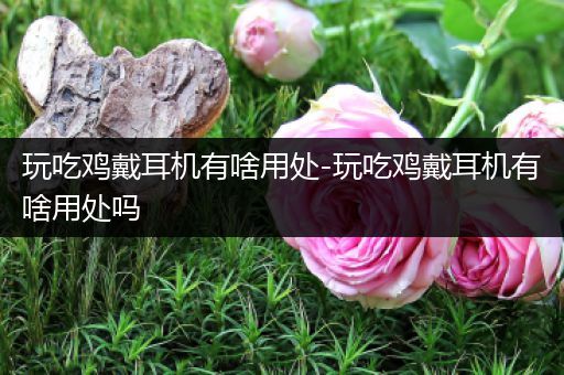 玩吃鸡戴耳机有啥用处-玩吃鸡戴耳机有啥用处吗